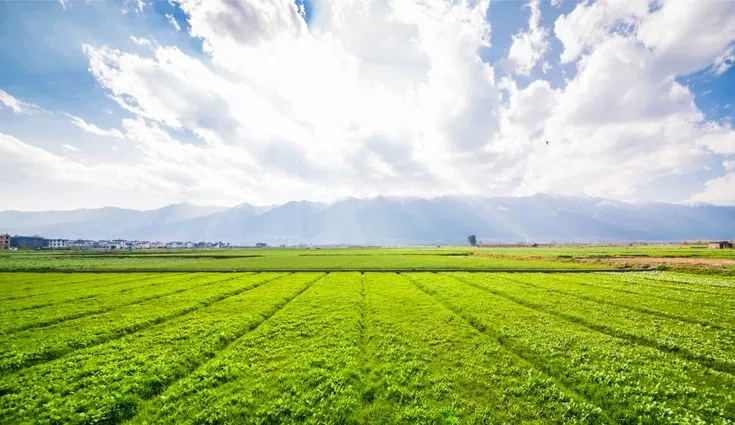 KAIG Farms Farmland Projects